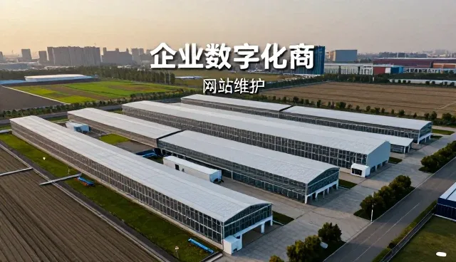 企业官网性能优化中的选型关注点解析